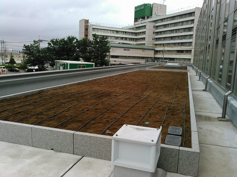 自動灌水システム施工スタッフ