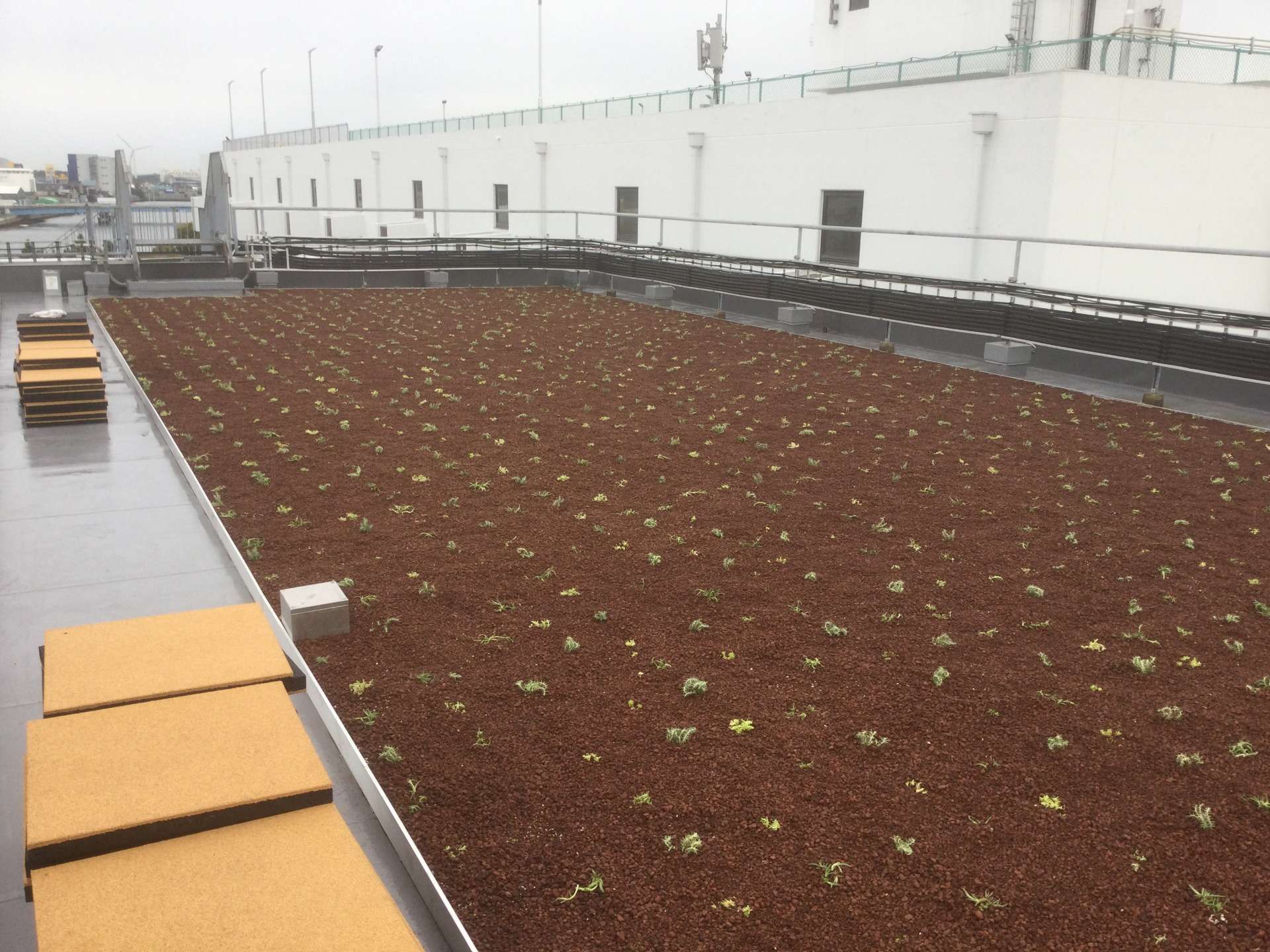 新木場の建築・屋上緑化【正社員募集中!】特殊緑化多能工