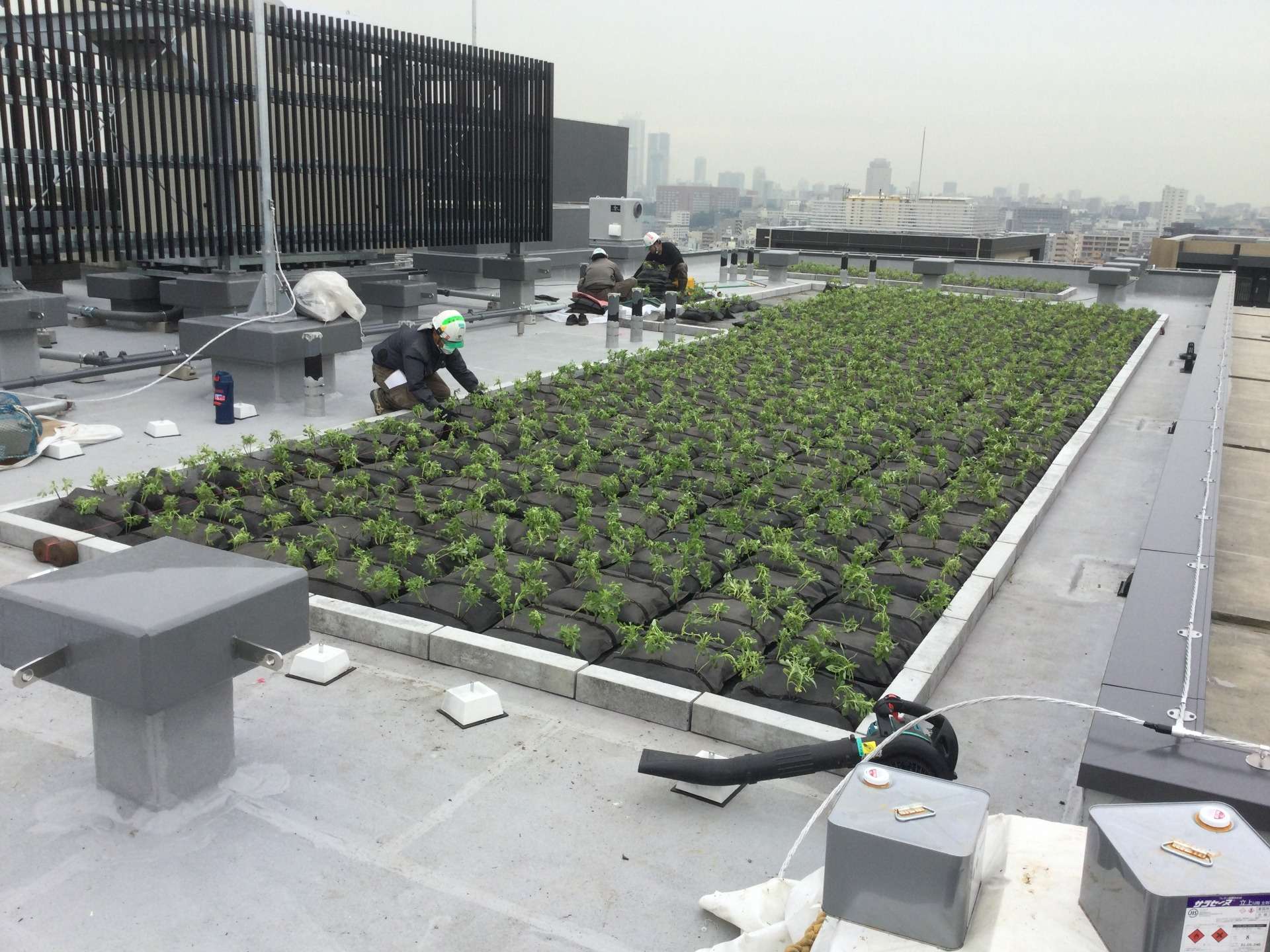 東京の建築・屋上緑化【正社員募集中!】特殊緑化多能工